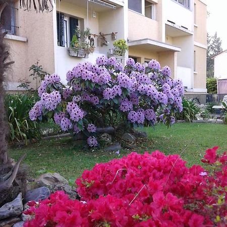 Les Floralies Bis Διαμέρισμα Pau Εξωτερικό φωτογραφία